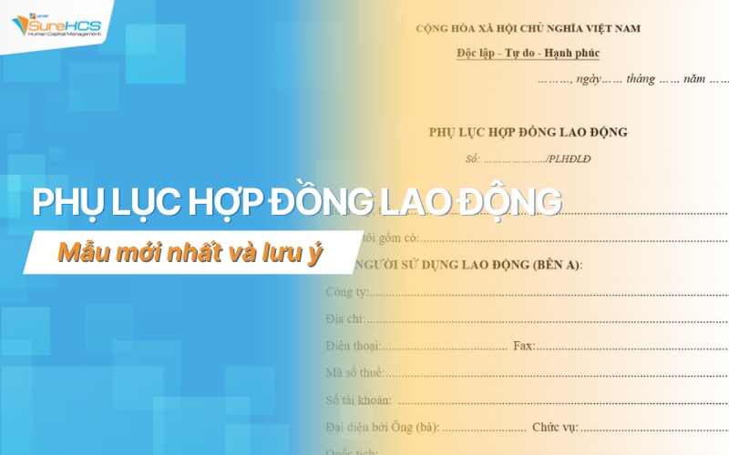 phụ lục hợp đồng lao động​
