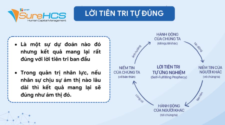 Hiệu ứng tâm lý trong quản trị nhân lực
