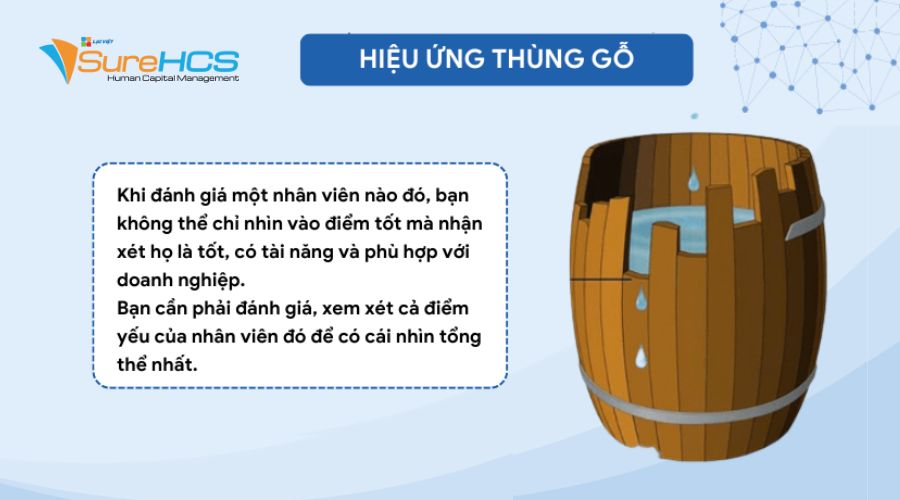 Hiệu ứng tâm lý trong quản trị nhân lực