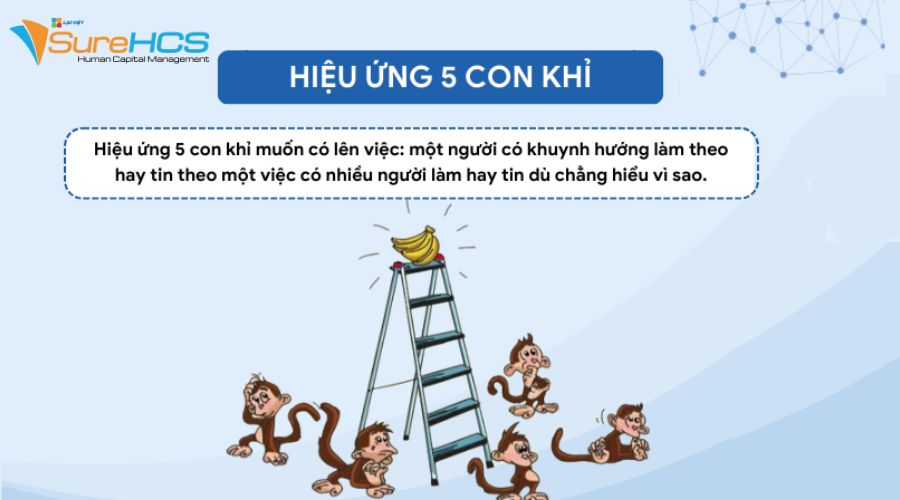 Hiệu ứng tâm lý trong quản trị nhân lực
