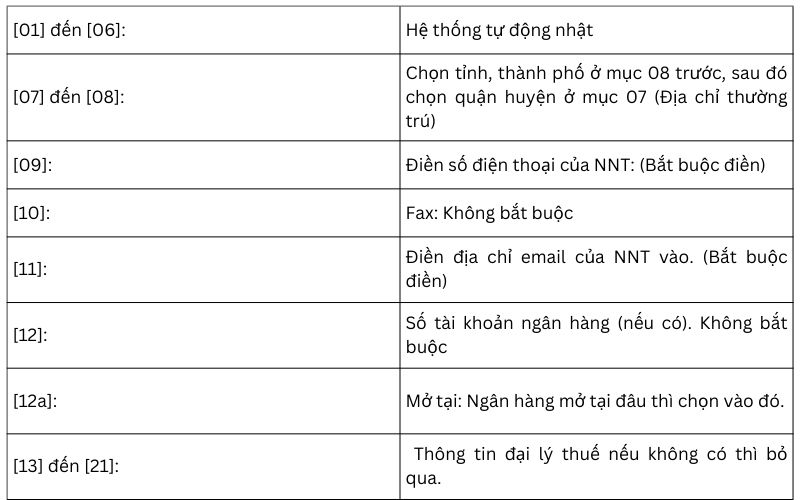 Bảng thông tin các mục trong phần Tờ khai thuế