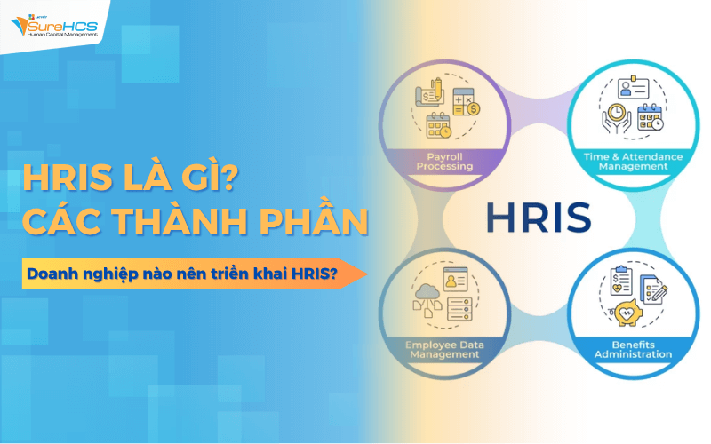 HRIS là gì? Các thành phần - Doanh nghiệp nào nên triển khai HRIS?